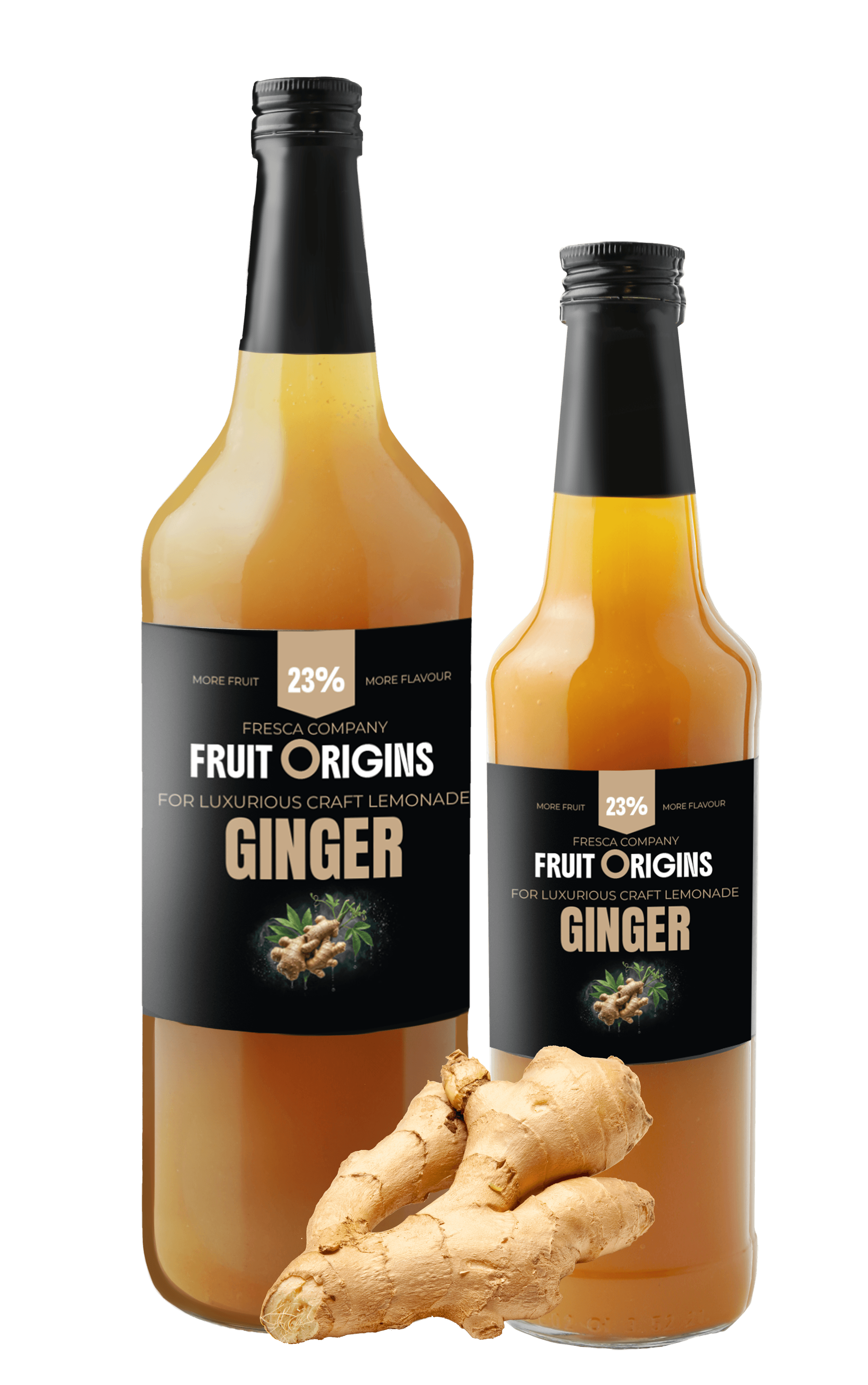 GINGER